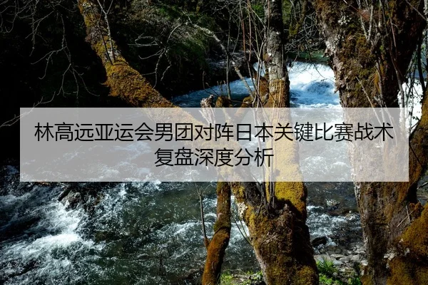 林高远亚运会男团对阵日本关键比赛战术复盘深度分析